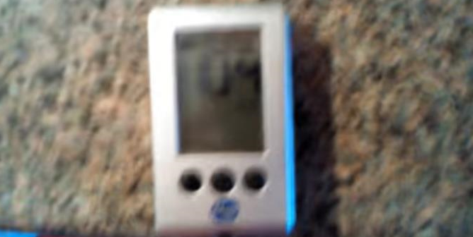 Quem Ganha O Plebiscito Em Saramandaia?